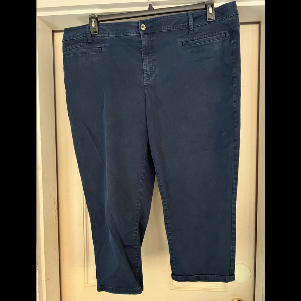 Lane Bryant navy Capri size 24